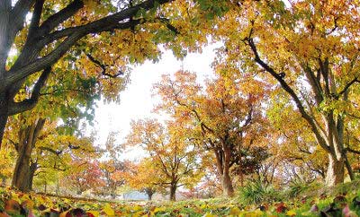 ���ݸ�����ʲ����԰��������4A�����ξ���