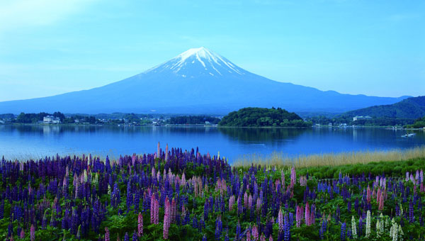 ������ȫ���ȫ���С��ƺ� �¼��������ڶ�