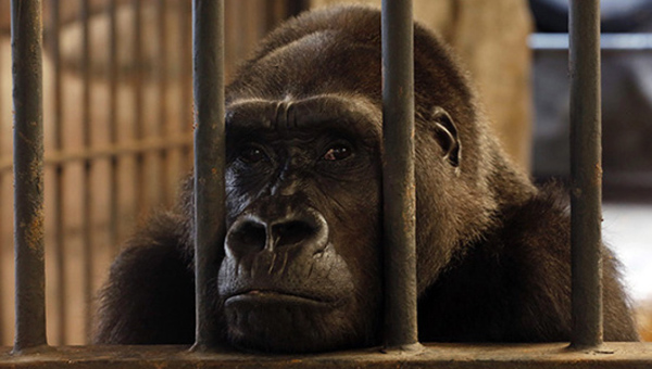 ̩�����ж���԰���򻷾����ӹ��ţ������ɱ���27��