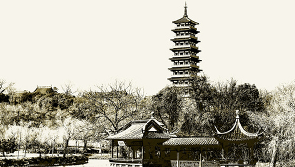 �̻����������ݡ���������Ĵ�ɫ����