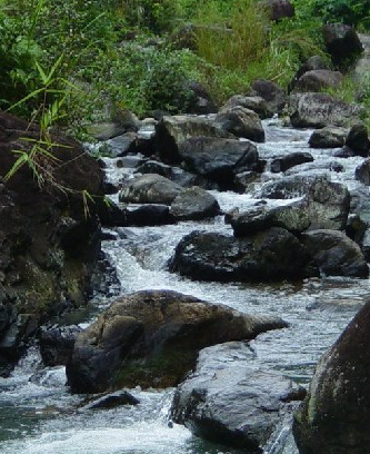 ���ϰ����ٲ����_���ϰ����ٲ����湥��