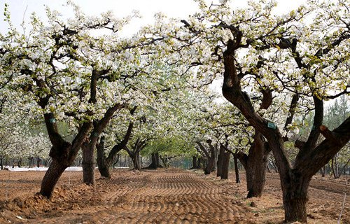 ����ʡ8����1����ѡ��������ɫ������������