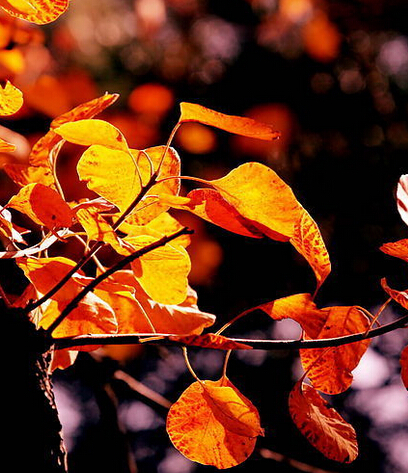 9�²�ȥ��Щ�ط����㽫��ʧȥĿ����������Ļ���