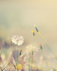 �����п��ֵ���Щ�¶�������������