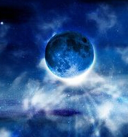 ��������ݺ���������� ��������ײ���칷ʳ��