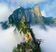 ����ʡչ�������̳������������ Ҫ����������������