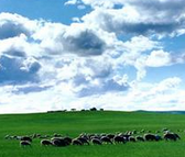 ���ɹ�ҵ����־ۺ����̶Զ������д��