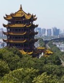 �人���������ж���Ұ�ⲽ��