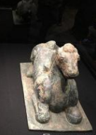 �ϲ�8.5��Ԫ���캣������ַ�����