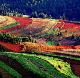 6������ο������ϼ���ɽ ̰�����򵽼���Ʊ