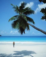 ���ڽ���չ������������㱸������ �����ΰ�ȫ����