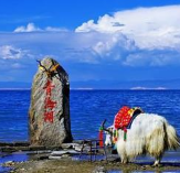 �ຣ������Ͷ��1083��Ԫ�⽨273��������Ŀ