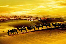 �������˿��֮·���ξ�Ʒ��