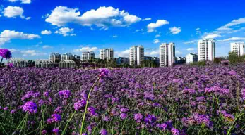 ������Ļ����β�ҵ��չʻ�롰�쳵����