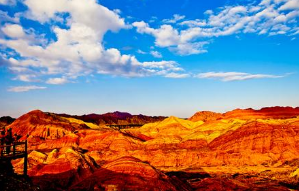 2017�����������Ʒ������ѡ����