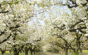 2017����滨�ڿ�Ļʽ��ˮ���㳡��Ļ