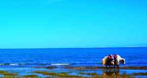 �ຣ�������β��������������ڰ� �����еȵ�����