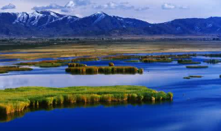 �½������׸�����Ѳ�ط�ͥ ��ͨ�ο�άȨ��������άȨЧ��