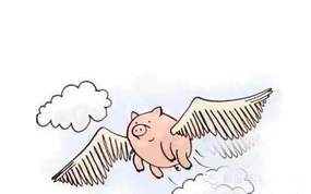 ���������Ƽ��������