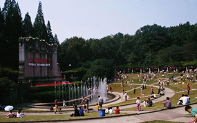 ǧ�����Ž���� ��ɽ����������