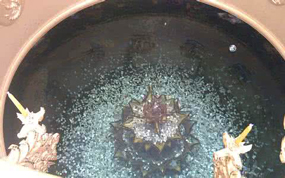 ����������Ը����Ǯ������ ����������15��