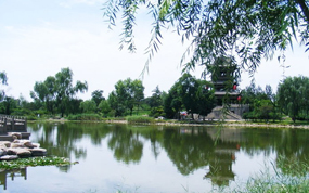 �ϰ���ɽ������ţ������