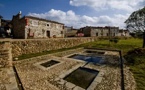 �����ɹ�ע��ƽ�͹����̱�