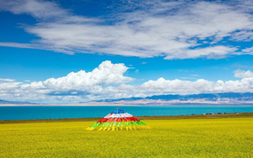 ʢ�����͵������ʺ�ȥ��������