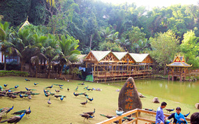 ���������г���ů ǿ����������