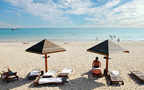 ���ϳɱ����������г�