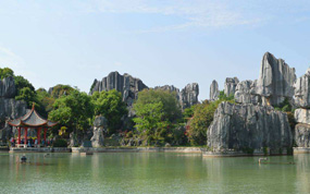 ΪӦ���οͼ��� �������������ۡ����������г�