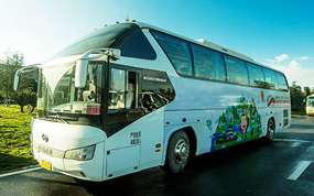 �������������δ����� �����侲������31���ο�