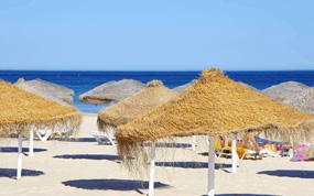 �������ɻ��Ƚ�ɳ̲ �ο���ǹ����Ա��Ȼ����