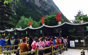 ���ݾ�կ��4���οͳ�4�� ����һ������Ӧ��Ԥ������