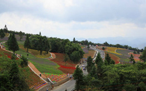 �߽����������Ͷ� ������������3u8883