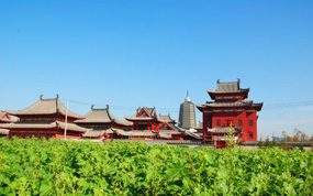 ����6������¿�ѵ������׻�3u8864