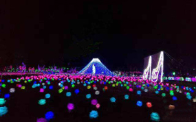 ������������Ϊ���׽�ƹ����ֽ���������