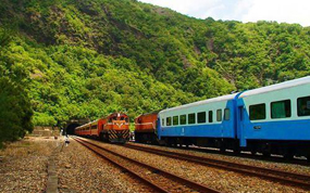 ר������������߳�����͸ ר�г���Ƶ�μ�������