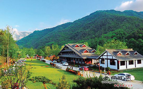 ������������  ȫ������ټ��Ǽ���������