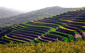 ͨμΪ��ƶȫ�������Ļ��������λ���