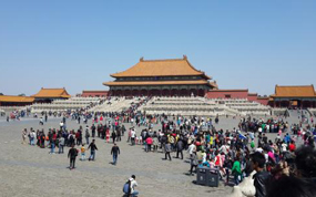 һ���α�һ�չ� ���β�ͬ��̹�������