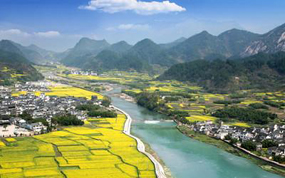 ����һ�����������������