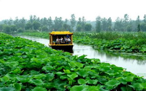 ���ս���ɻ�����������Ļ����� Ϊ����4A��������