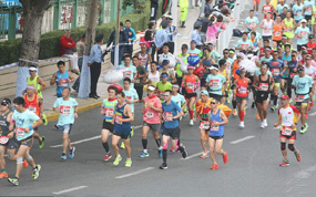 2017���������������� ̨�����ž��͹�������������