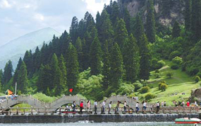 ���ĺ�������������������ɫС��