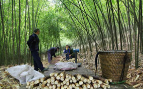 ������:���ɽ����ڼ������� �����ڶ�������ɽ�����ժ��������Ȥ