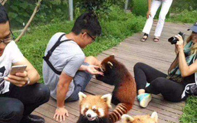 �ο���С��è��Ӱ ��ȫ�������Ի�֤