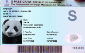 �����ڼ����ɶ����οͷ�����è���ա�