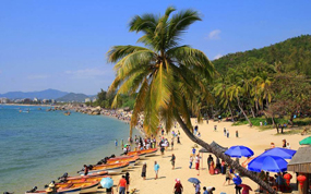 ȥ�����ο;ٱ�����Υ��Υ����Ϊ��߽�15��Ԫ