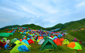 2017��ʮ��Ƽ���书ɽ����ڻ����չ�